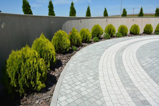 Professional Driveway Pavers in Drew, MS